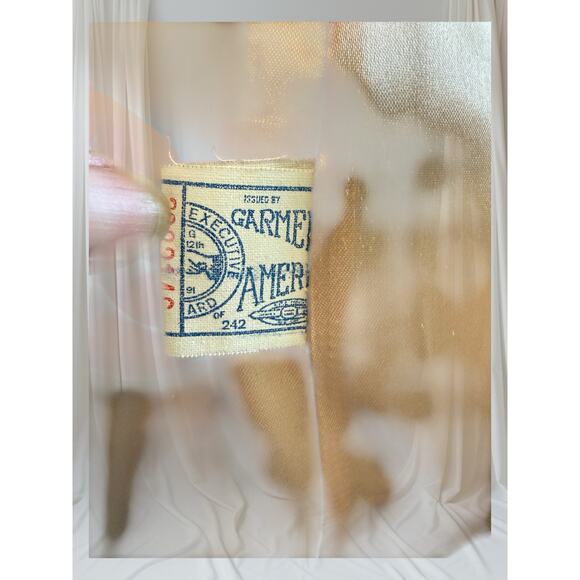 Vtg 1950s American Apparel Cream Faux Persian Lamb Coat with Mink-Style Collar - Picture 3 of 8